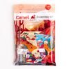 Camel PAINTING Kit 199/-