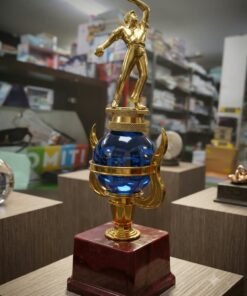 Winnar Trophy Award Sport